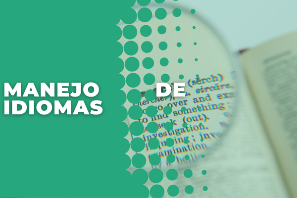Manejo de idiomas