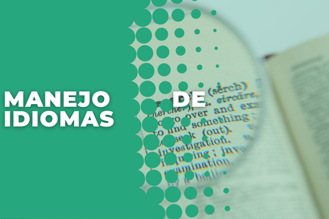 Manejo de idiomas
